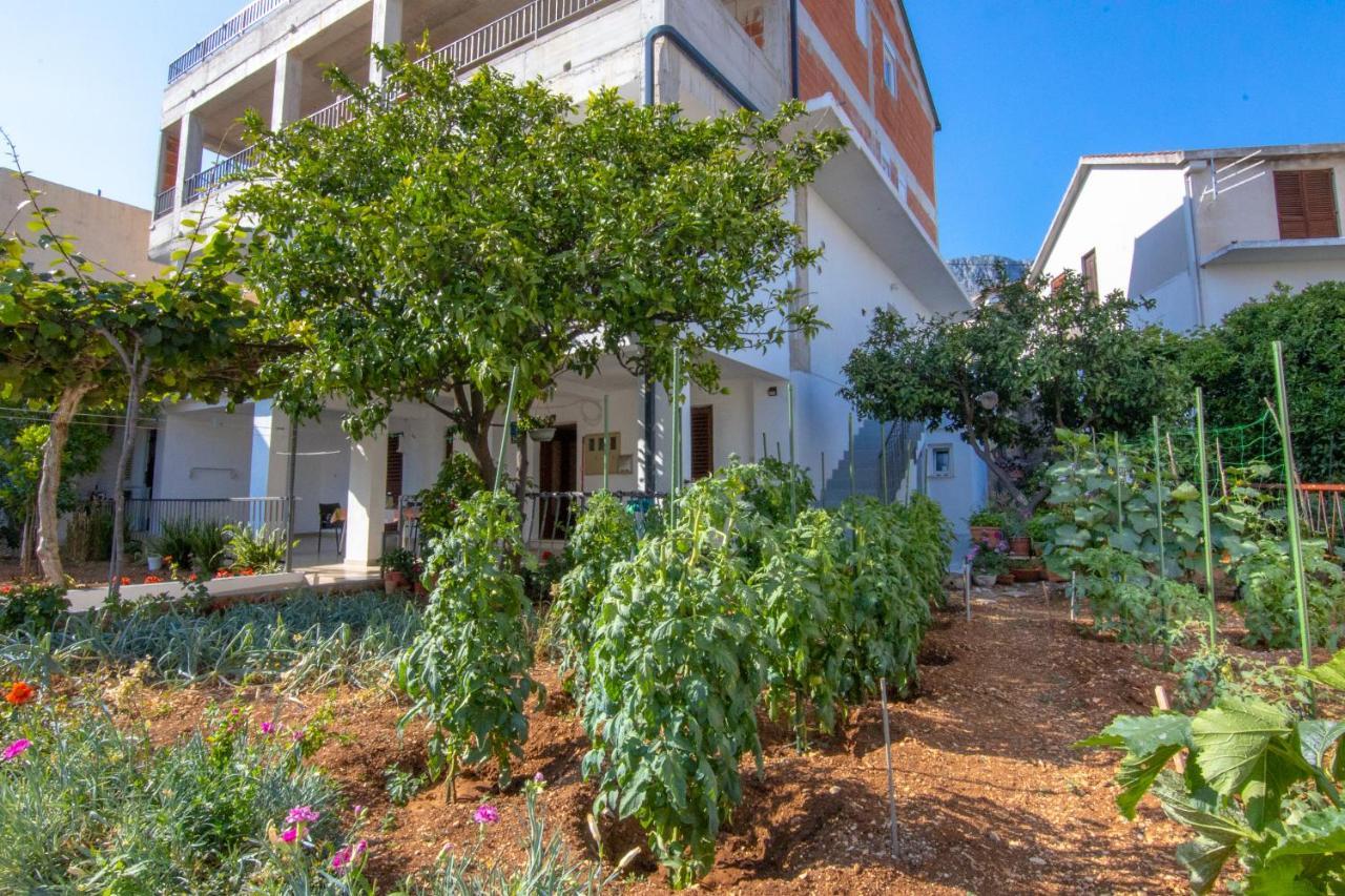 Apartment Latkovic